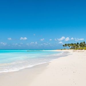 Meet your Posher, Isabelle